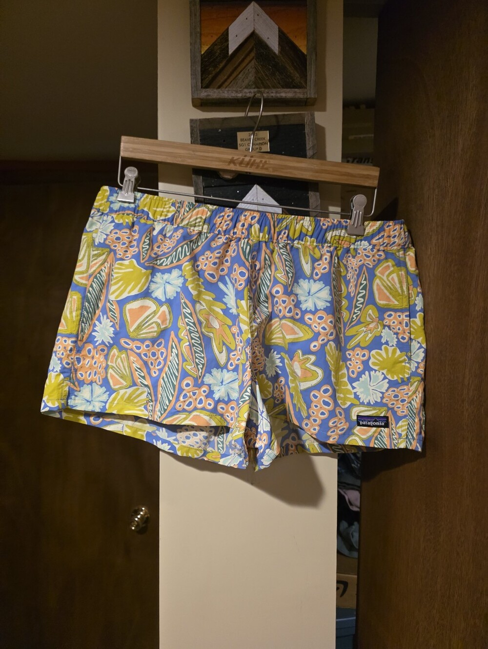 Payagonia Barelt Baggies Shorts
